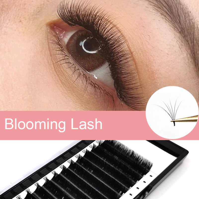 eyelash extensions