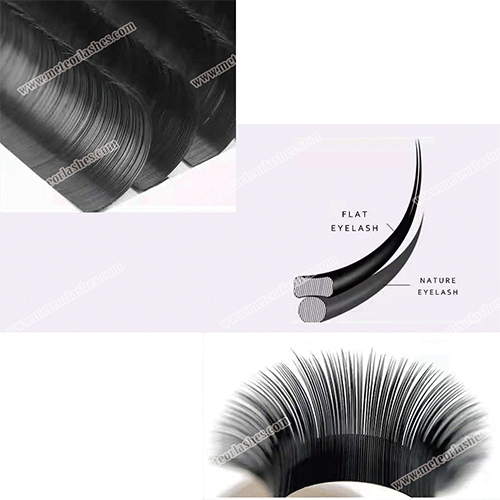 Eyelash Fan