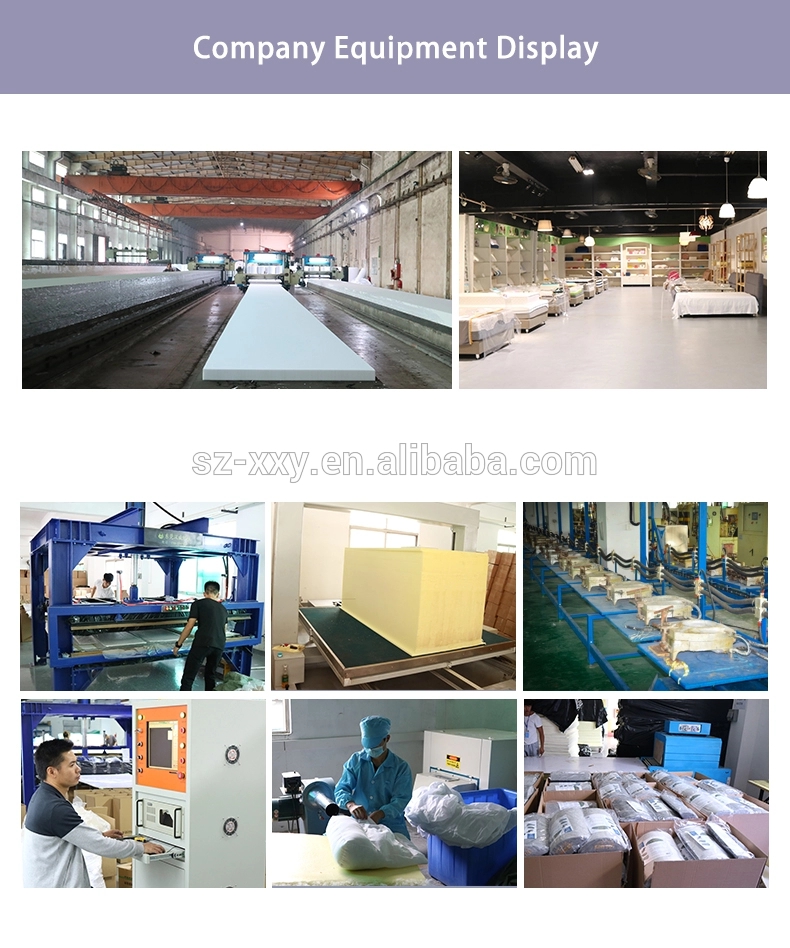 Xinxiyang boligindretningsfabrik