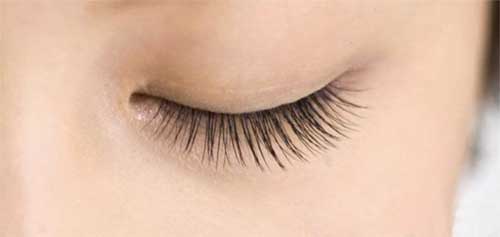 Which is better for grafting eyelashes or planting eyelashes