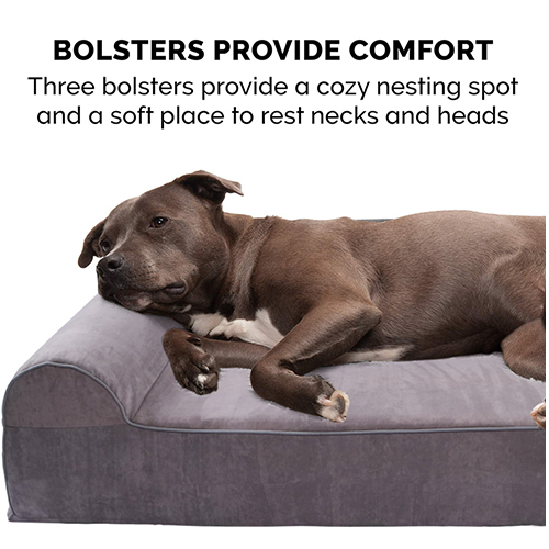 Dog Beds