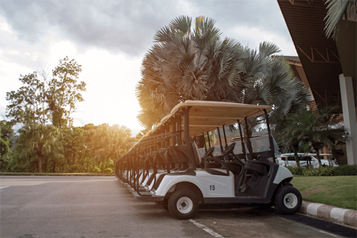 Golf Cart Battery Tester